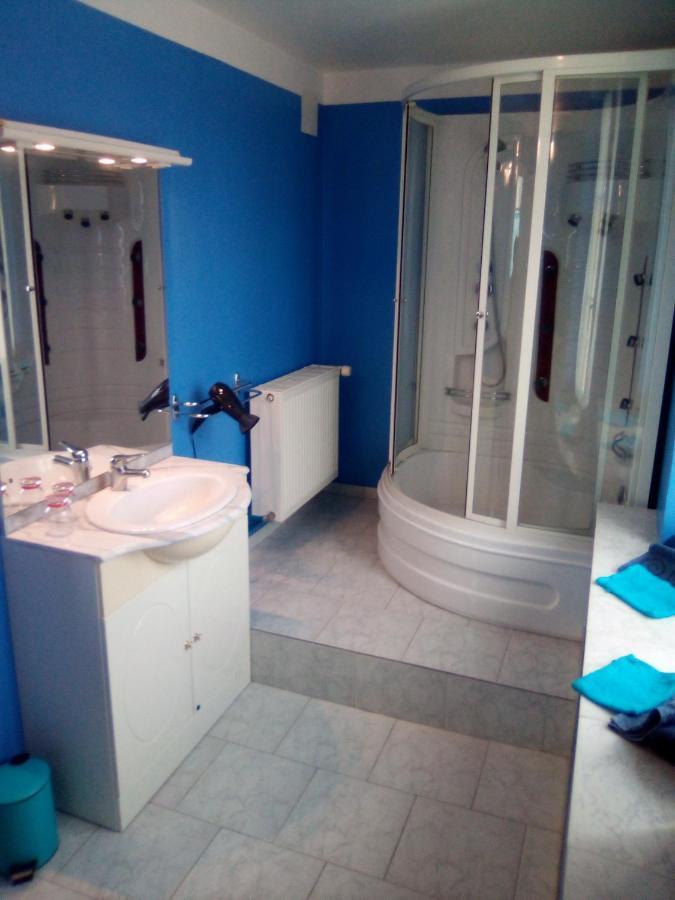 Le Grand-Pressigny L'Octodon Bed & Breakfast エクステリア 写真